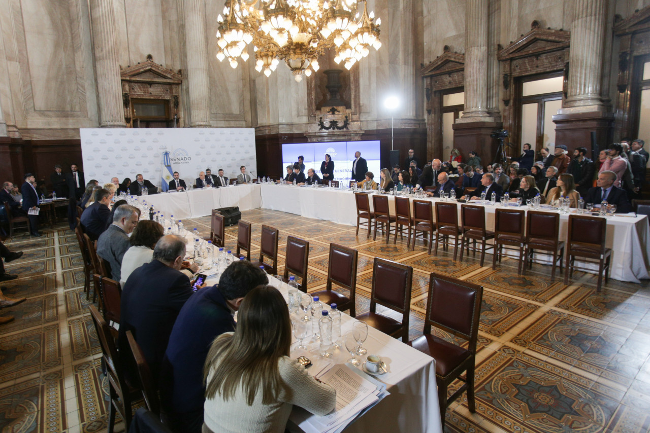 Senadores tratan la Ley Bases. Foto: NA