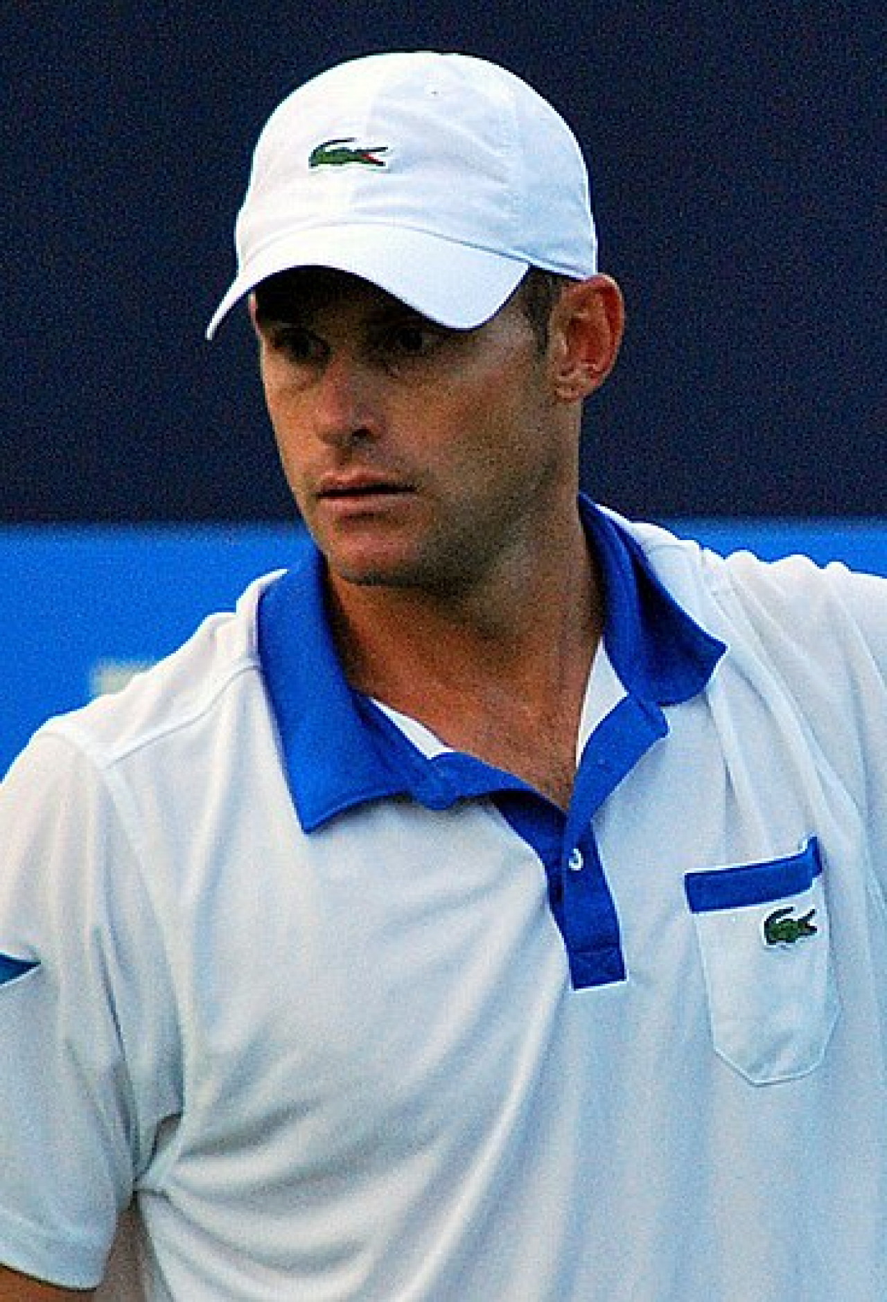 Andy Roddick. Foto: Wikipedia.
