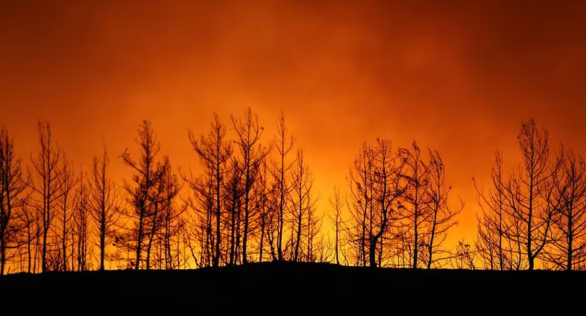 Catástrofes naturales. Foto: Reuters