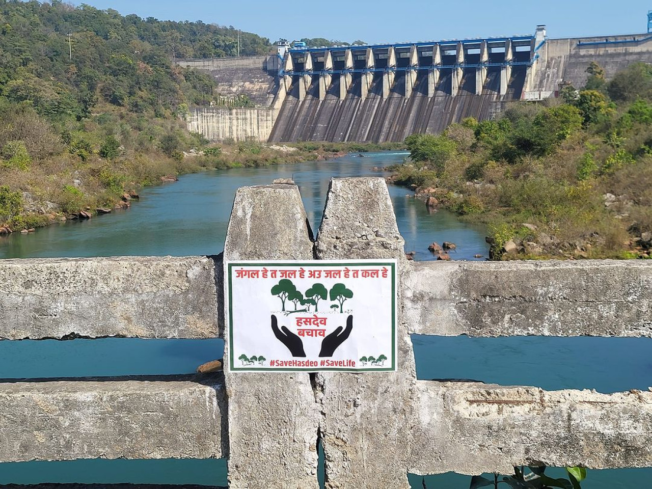 Campaña para proteger el bosque de Hasdeo Aranya. Foto: Instagram.