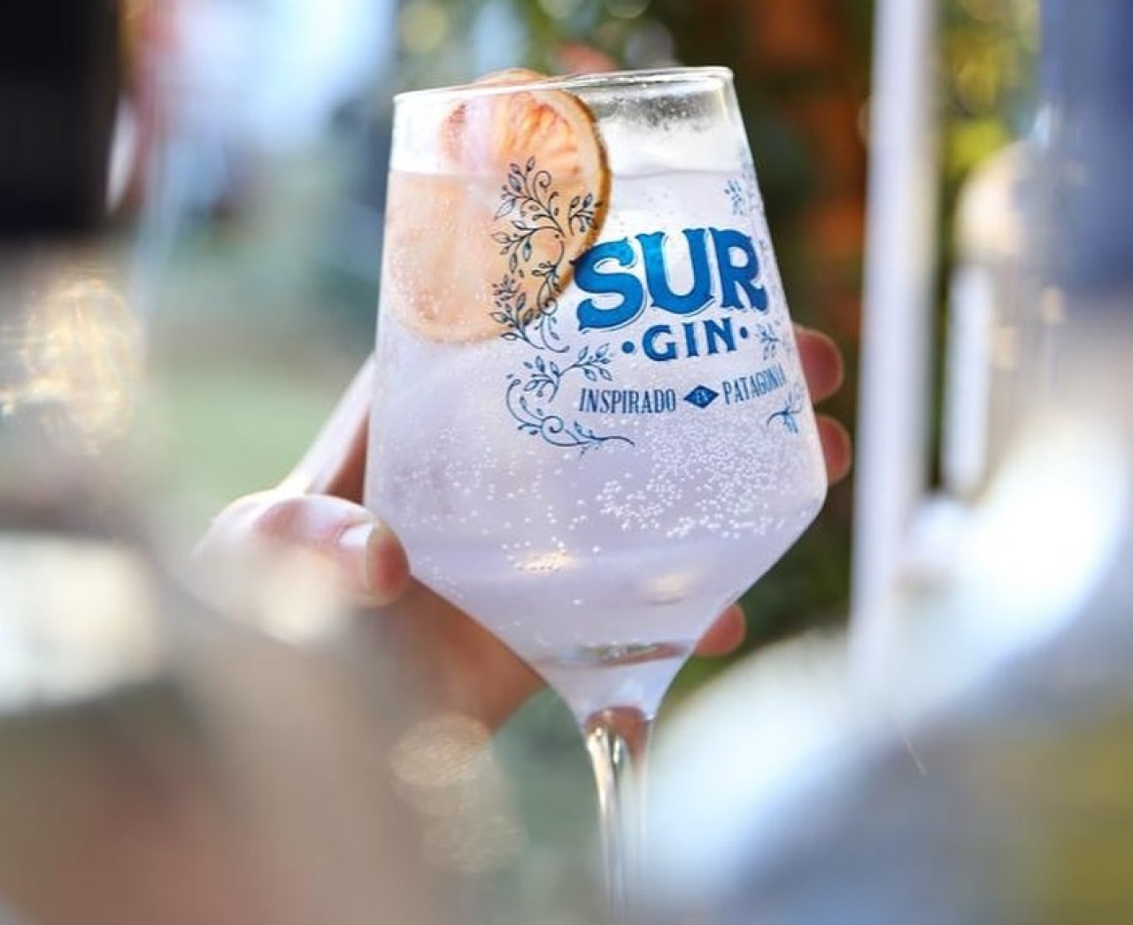 Gin, gin tonic, bebida. Foto Instagram @surginok.