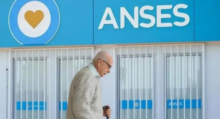 ANSES. Foto: NA.