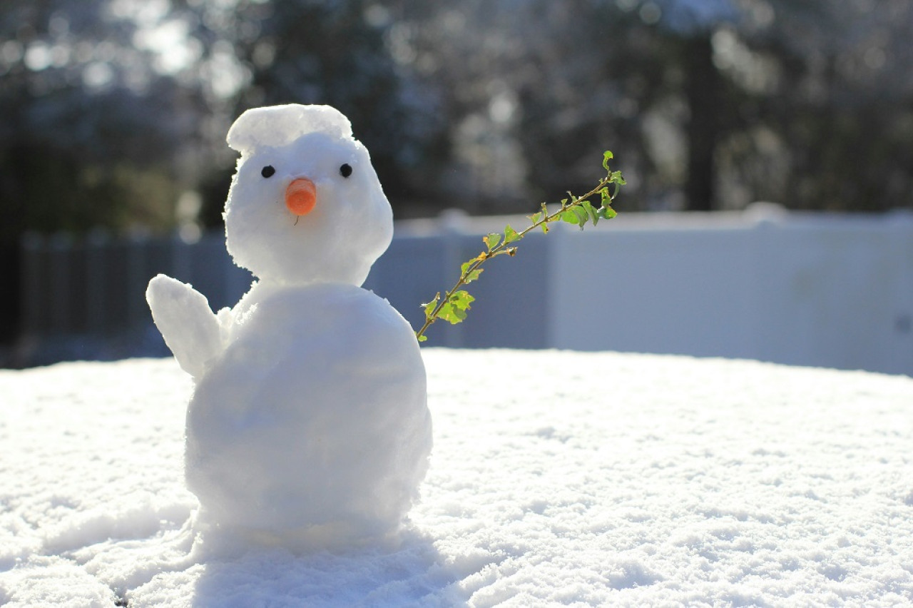 Muñeco de nieve. Foto: Unsplash.