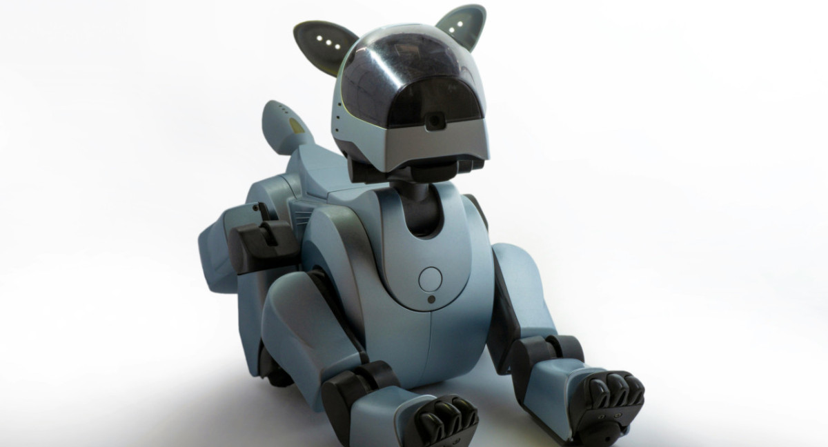 Perro robot. Foto: Unsplash.