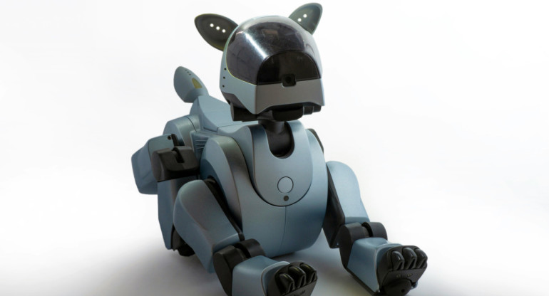 Perro robot. Foto: Unsplash.