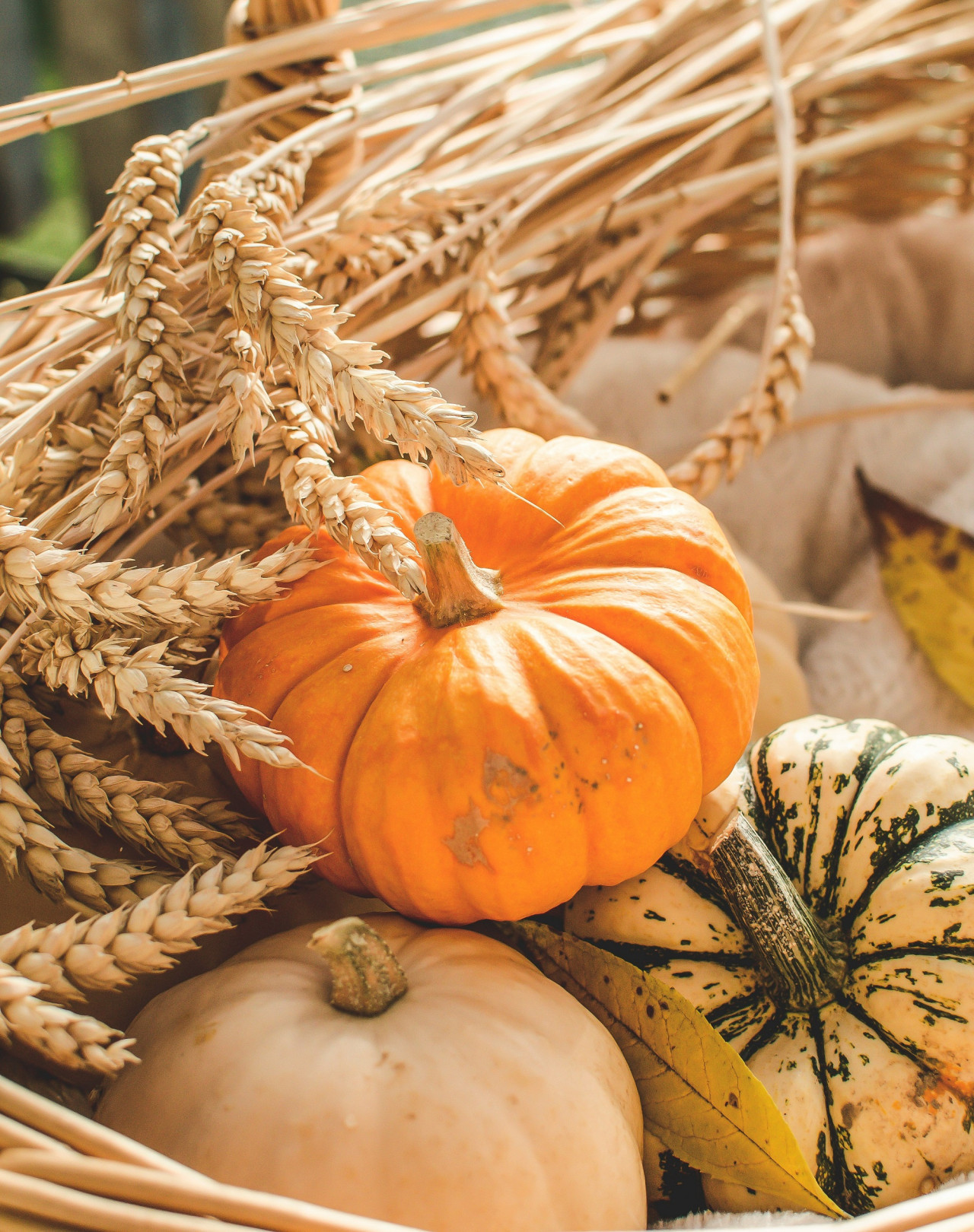 Calabaza, verdura, vegetal. Foto Unsplash.