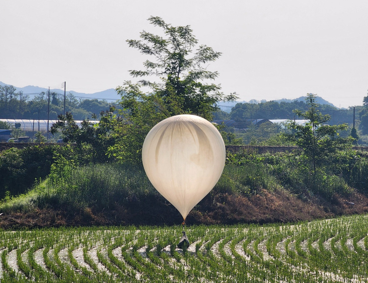 Corea del Norte envía globos con desechos al Sur. Foto: Reuters.