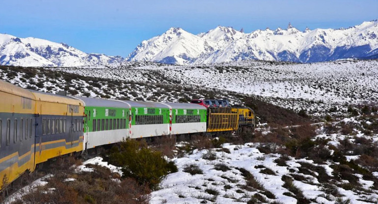 Tren Patagónico. Foto: NA