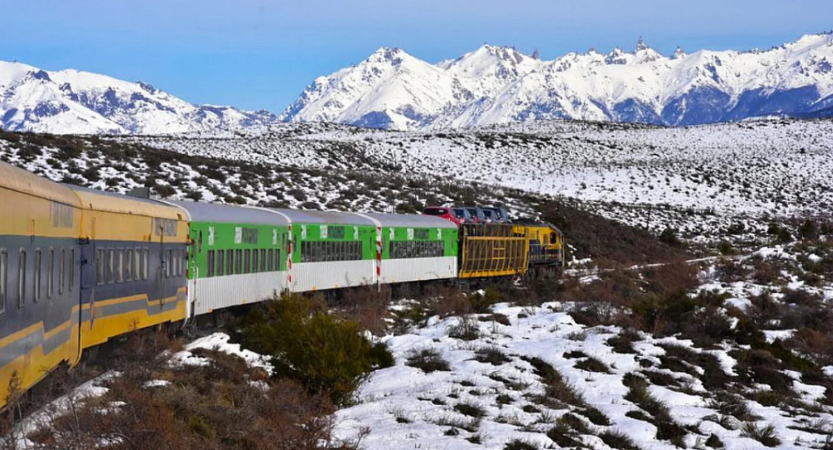 Tren Patagónico. Foto: NA