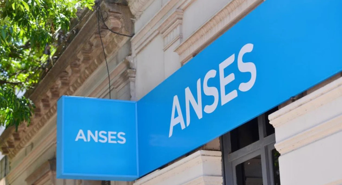 Nuevo bono de ANSES. Foto: NA