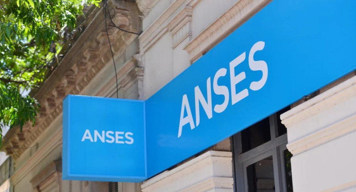 Nuevo bono de ANSES. Foto: NA