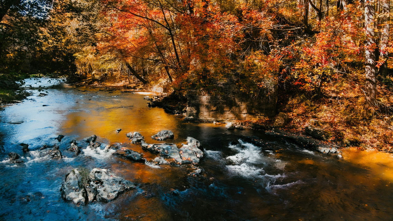 Ríos y arroyos. Foto: Foto: Unsplash