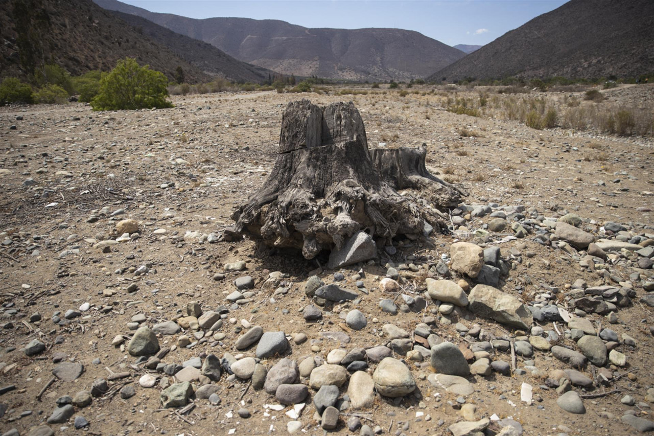 Chile, medioambiente. Foto: EFE