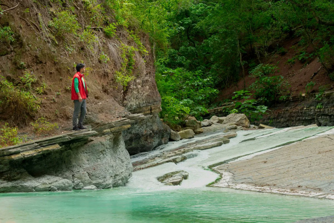 Las Yungas jujeñas. Foto: X