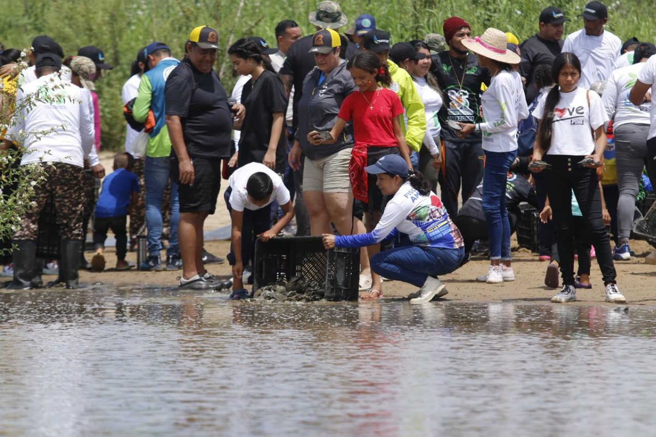 Liberación de tortugas en Venezuela. Fuente: Ministerio de Ecosocialismo Venezuela