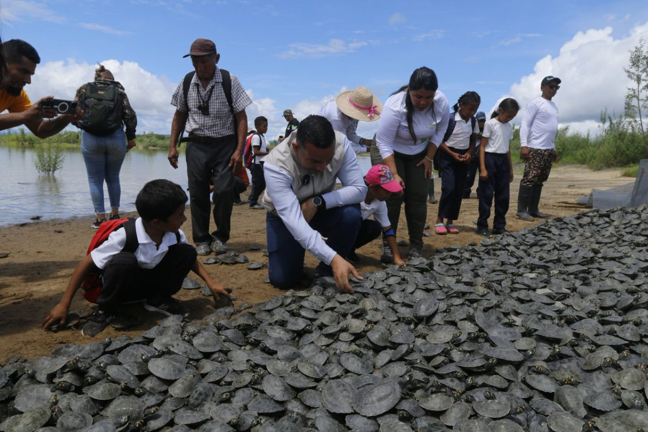 Liberación de tortugas en Venezuela. Fuente: Ministerio de Ecosocialismo Venezuela