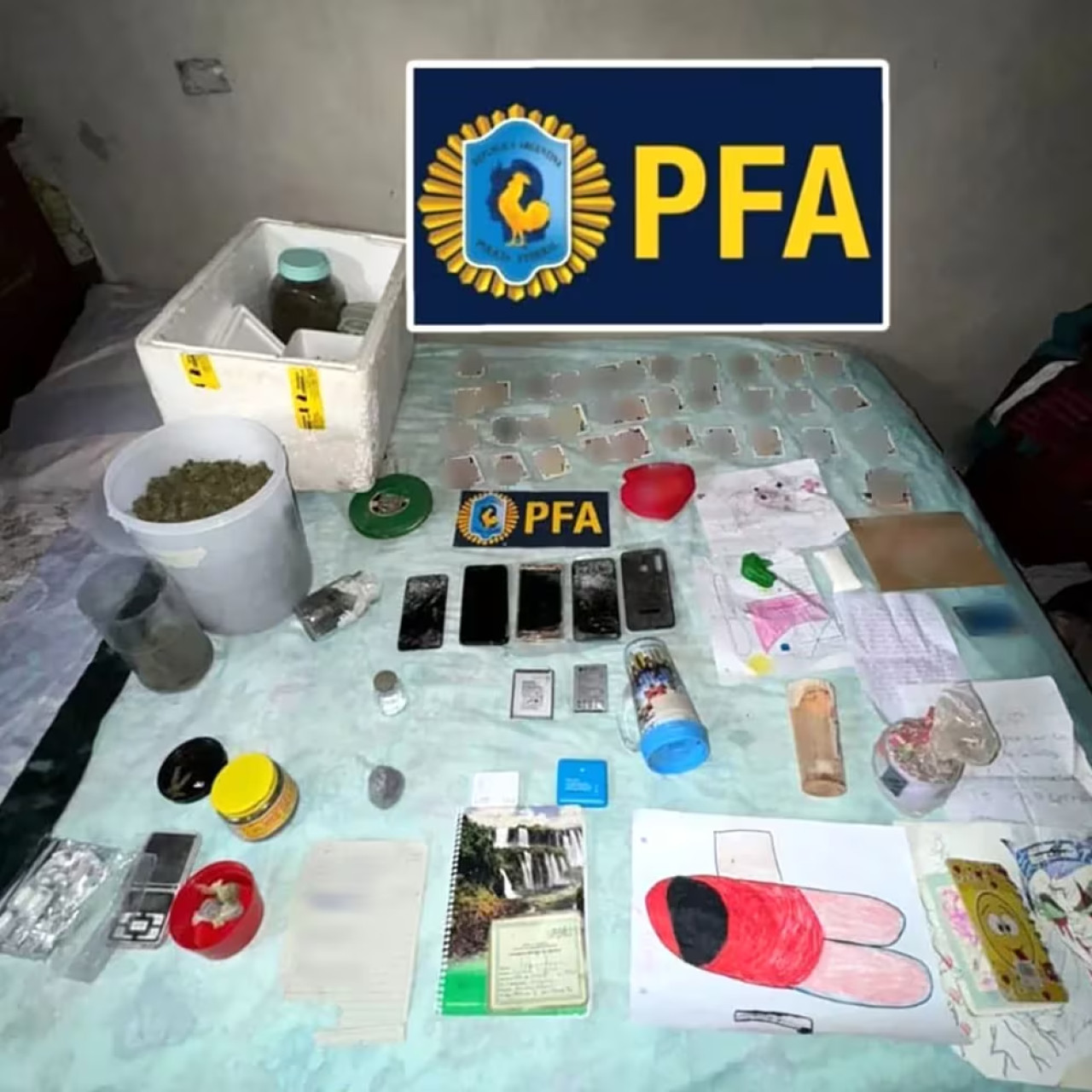 En el allanamiento encontraron drogas y juegos sexuales infantiles. Foto: PFA