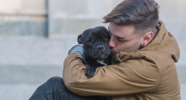 Perros. Foto: Unsplash