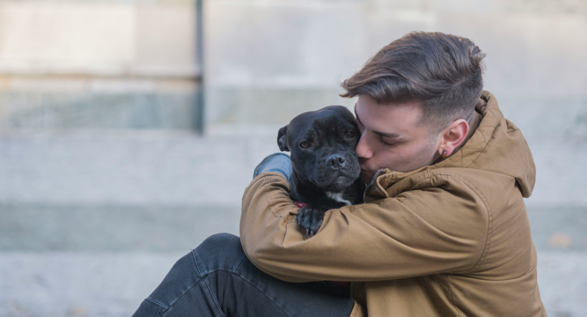 Perros. Foto: Unsplash