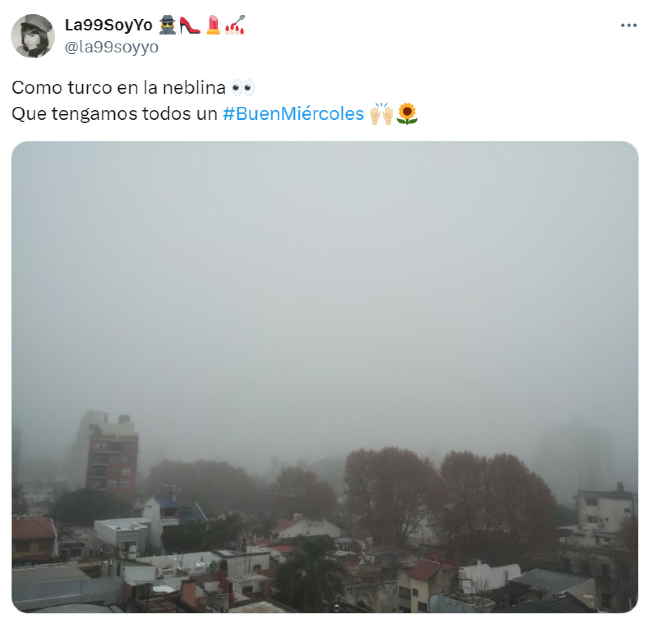 Las repercusiones en X por la neblina en Buenos Aires.