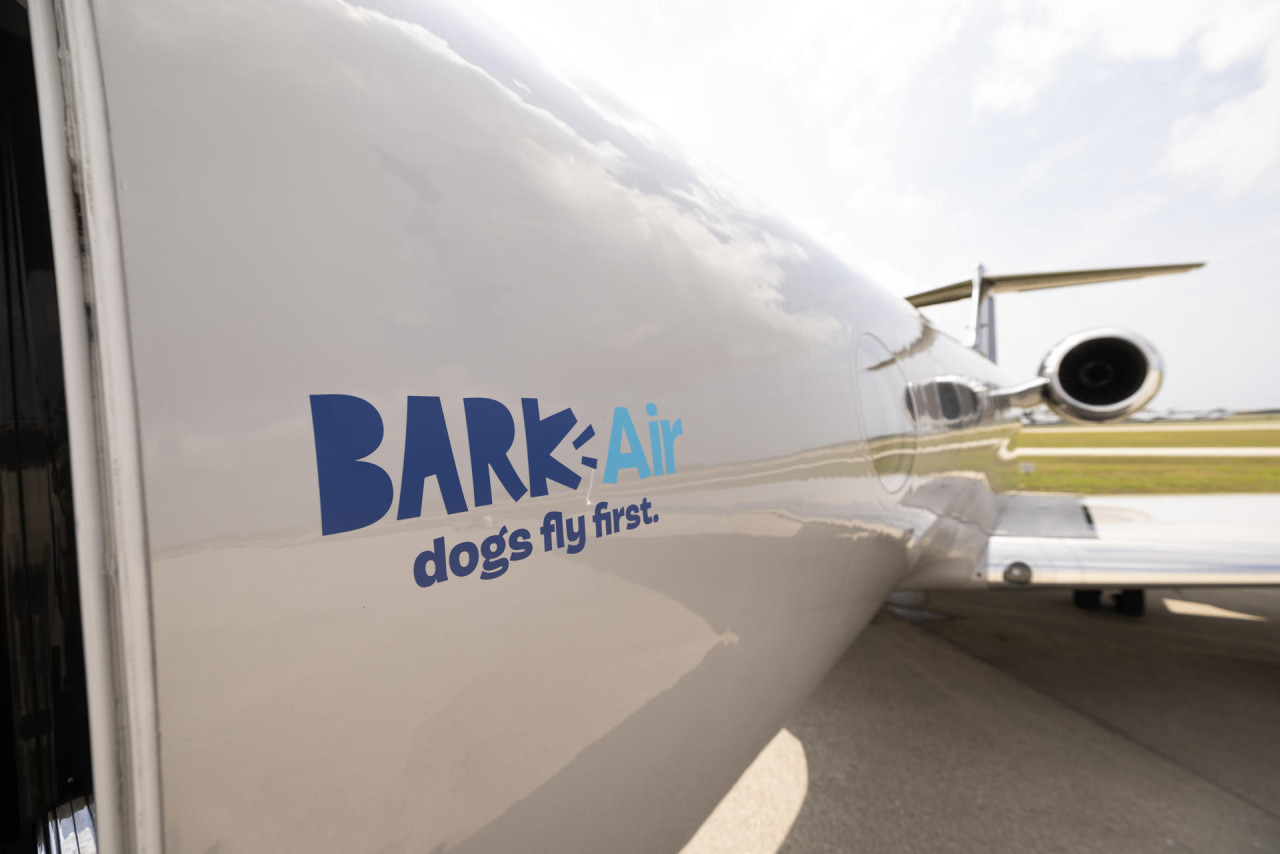 Aerolínea llamada "Air Ladrido" es una alternativa de lujo para perros viajeros. Foto: EFE.