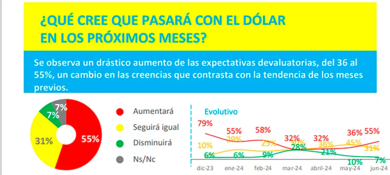 Sondeo sobre el dólar. Foto: Opina Argentina