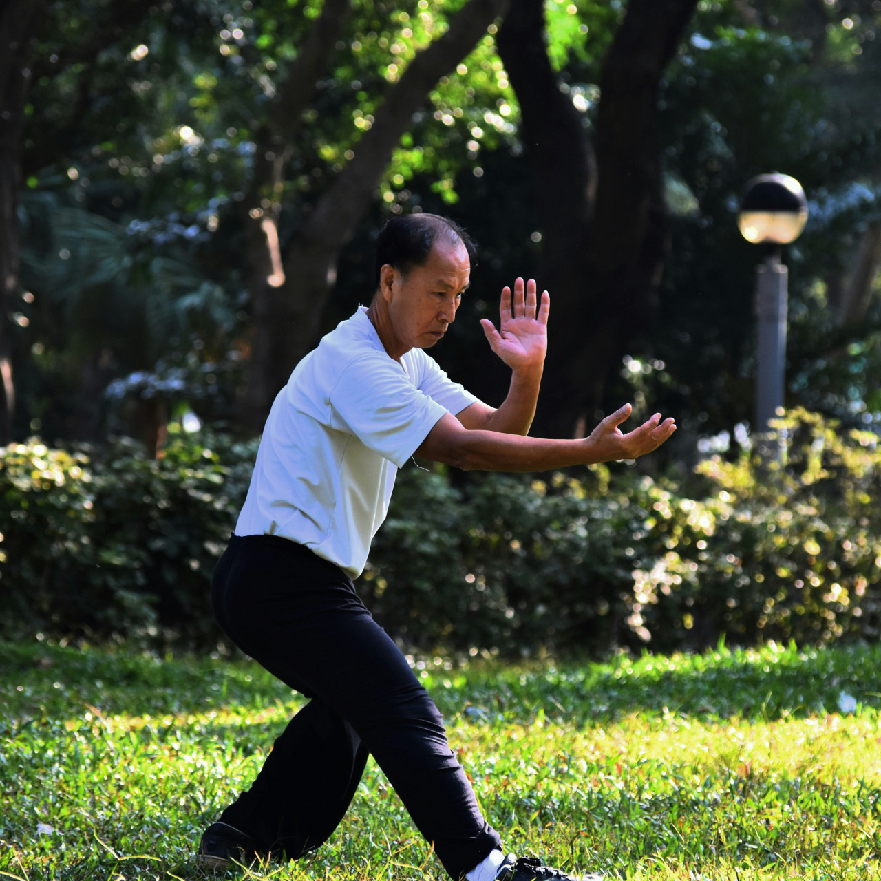 Tai Chi. Foto: Unsplash.