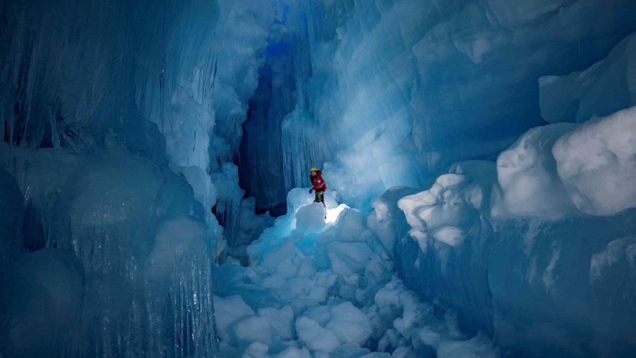 Asombroso descubrimiento en la Antártida. Foto: @PTV_Noticias