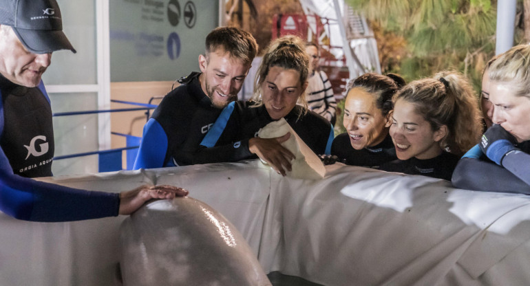 Traslado de dos belugas. Foto: EFE