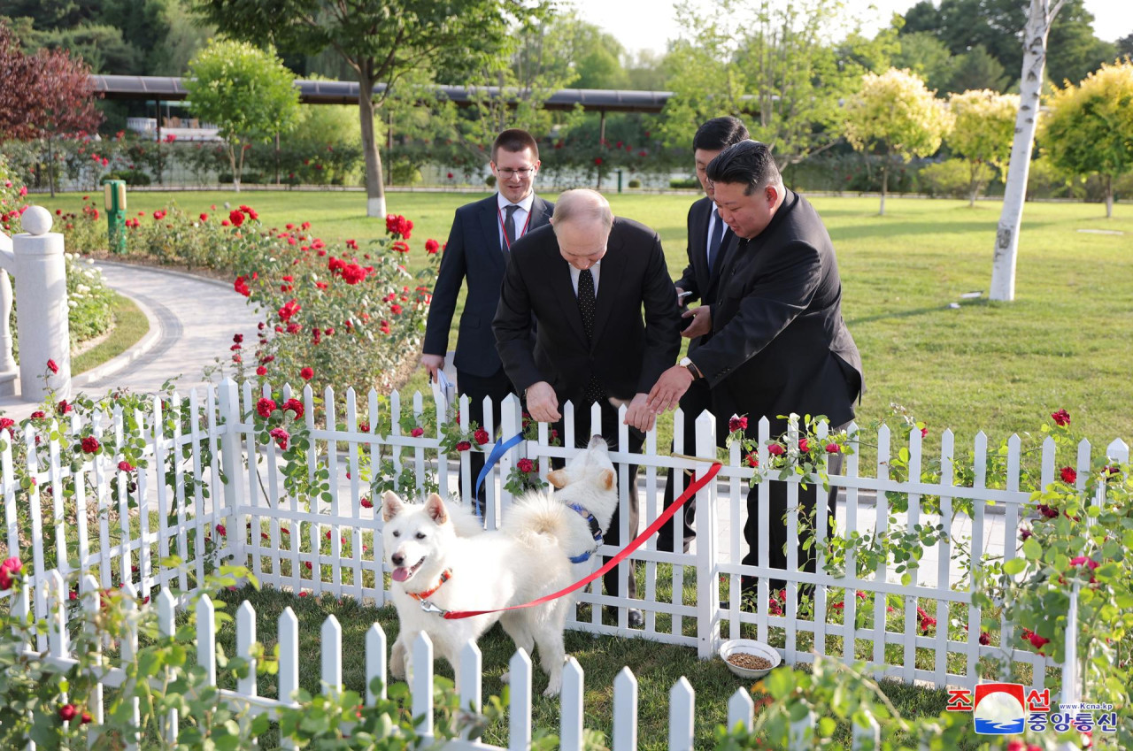 Cumbre histórica en Pionyang: perros de caza norcoreanos y una limusina rusa, los regalos entre Kim y Putin. EFE