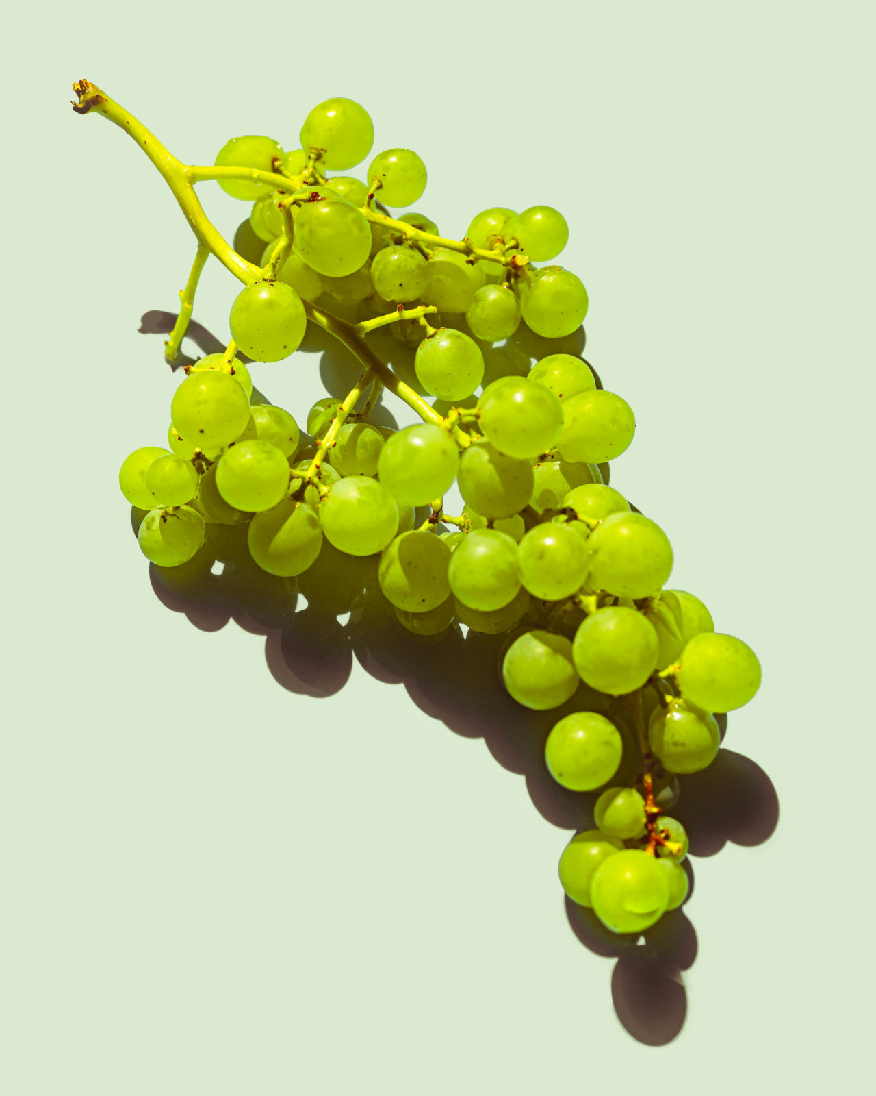 Existen distintos tipos de uvas. Foto: Unsplash.