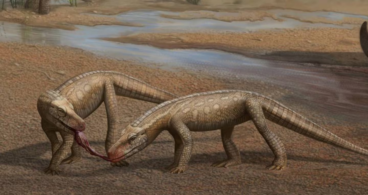 El Parvosuchus aurelioi. Foto: X @agencia_sinc