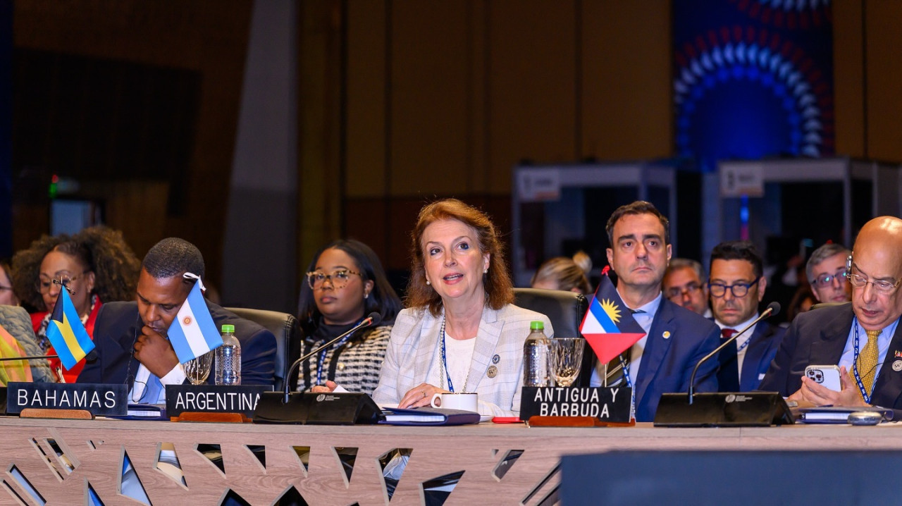 Diana Mondino en la primera sesión plenaria de la 54 Asamblea General de la OEA. Foto: Instagram @cancilleriaarg