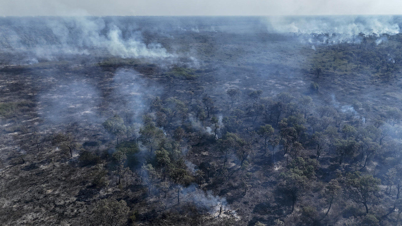 Pantanal brasileño, incendio. Foto: EFE