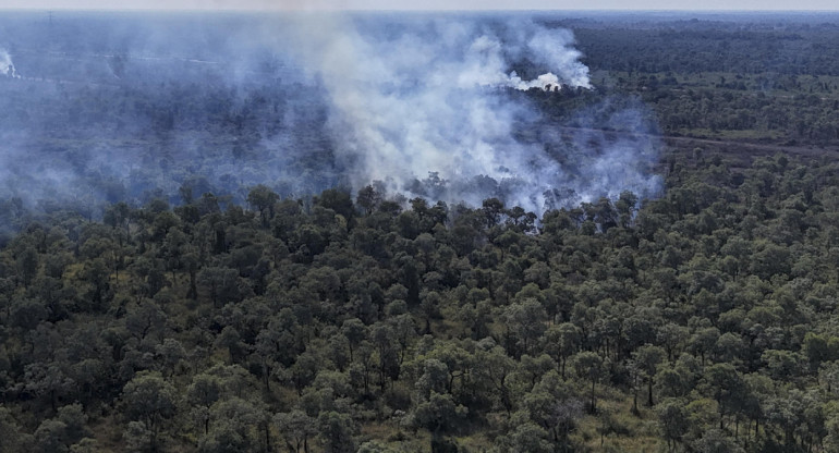 Pantanal brasileño, incendio. Foto: EFE