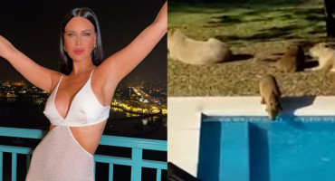 Natalie Weber se quejó de los carpinchos en su casa. Fotos: Instagram - captura América TV.