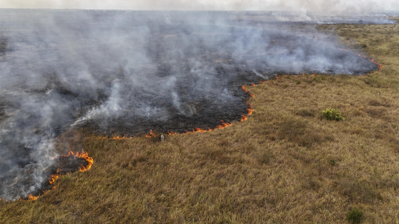 Los incendios en el Pantanal son causados, en parte, por las sequías. Foto: EFE.
