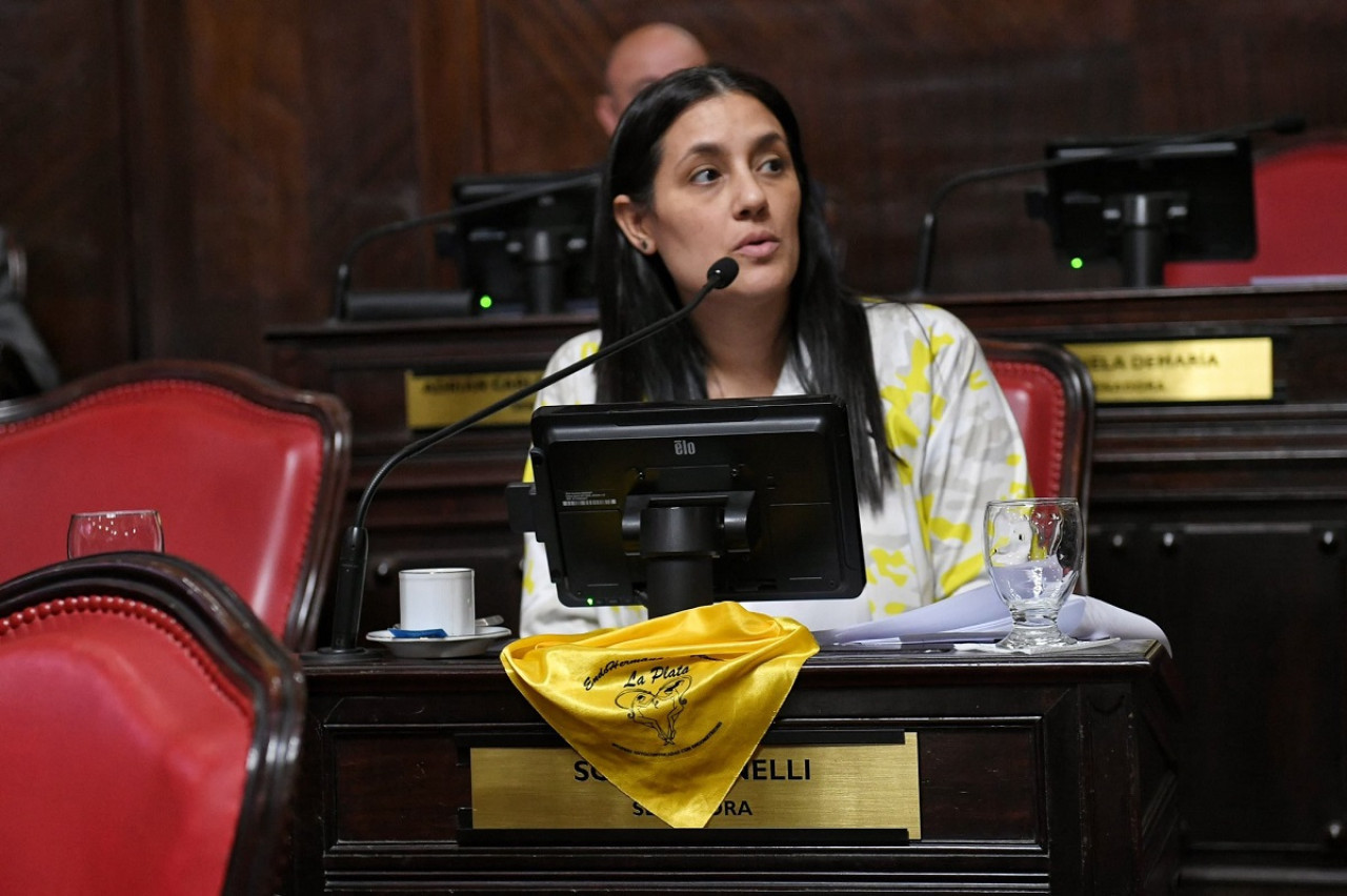 La legisladora Sofía Vannelli. Foto: X @frmujeresok.