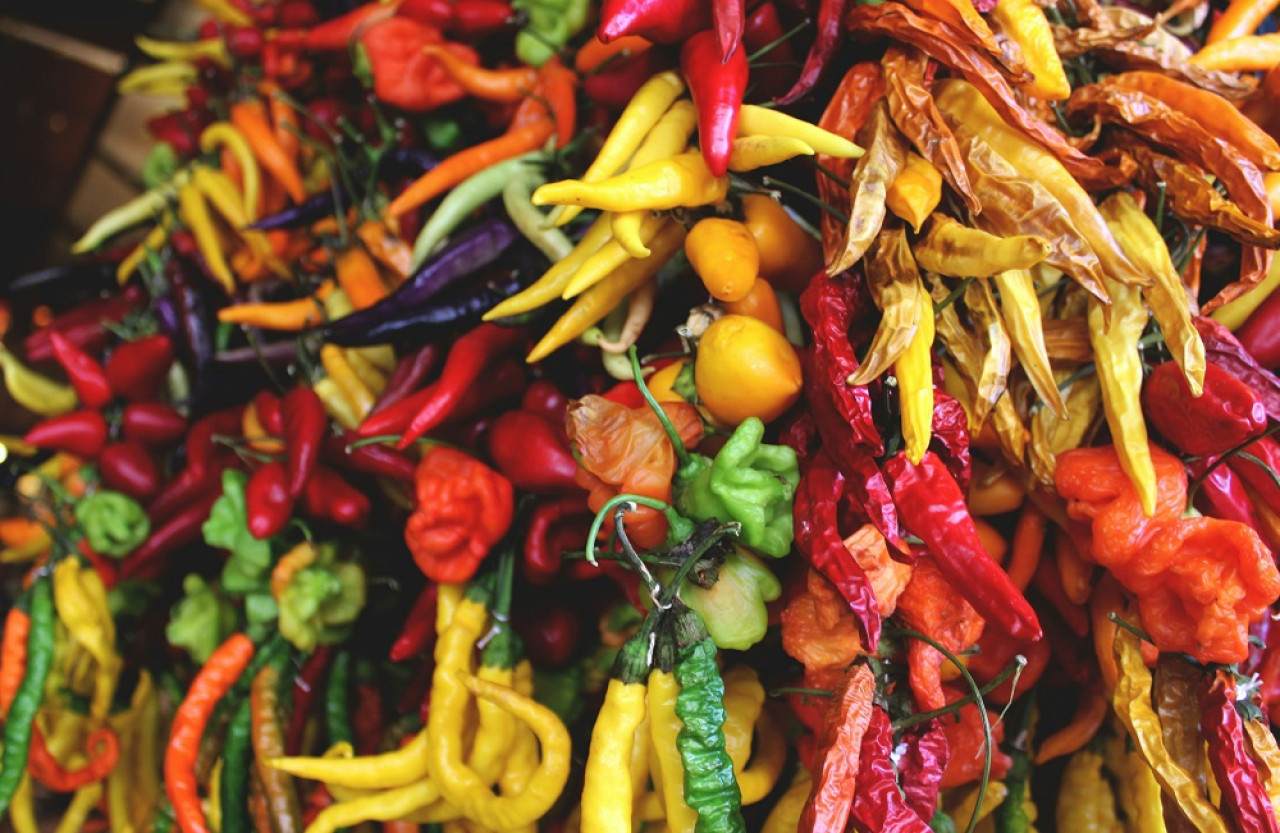 Picante, chile, condimento. Foto: Unsplash.