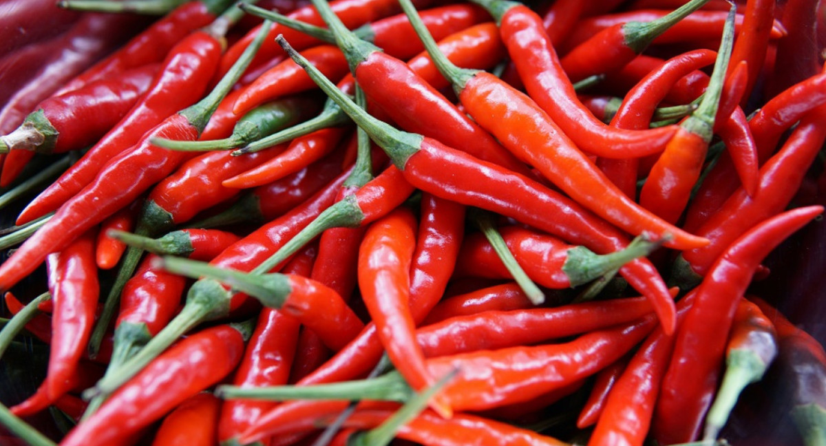 Picante, chile, condimento. Foto: Unsplash.