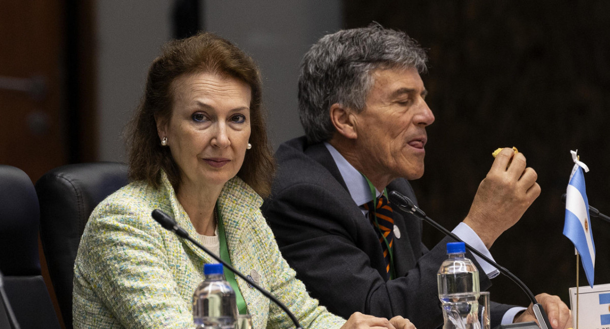 Diana Mondino, representante argentina en la Cumbre del Mercosur. Foto: EFE.