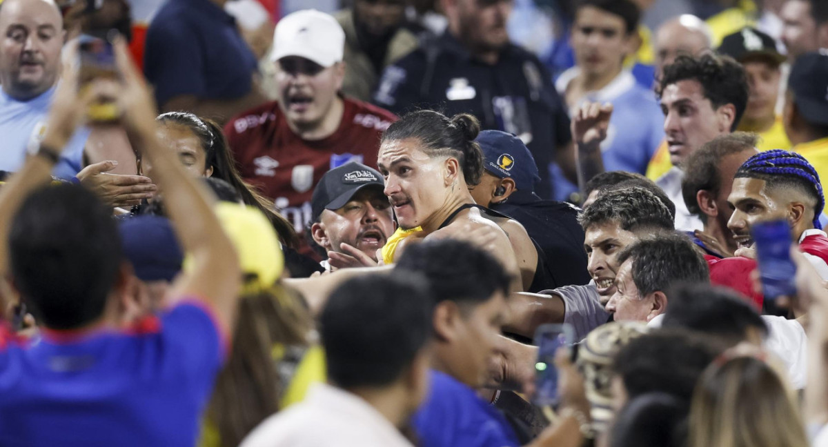 Darwin Núñez, a los golpes contra los hinchas de Colombia. Foto: EFE.