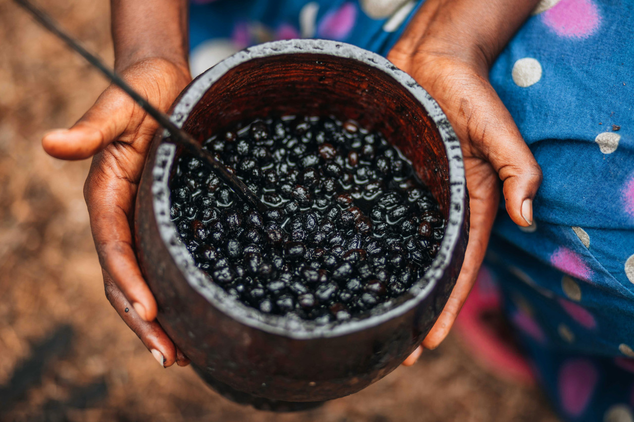 Açaí. Fuente: Pexels.