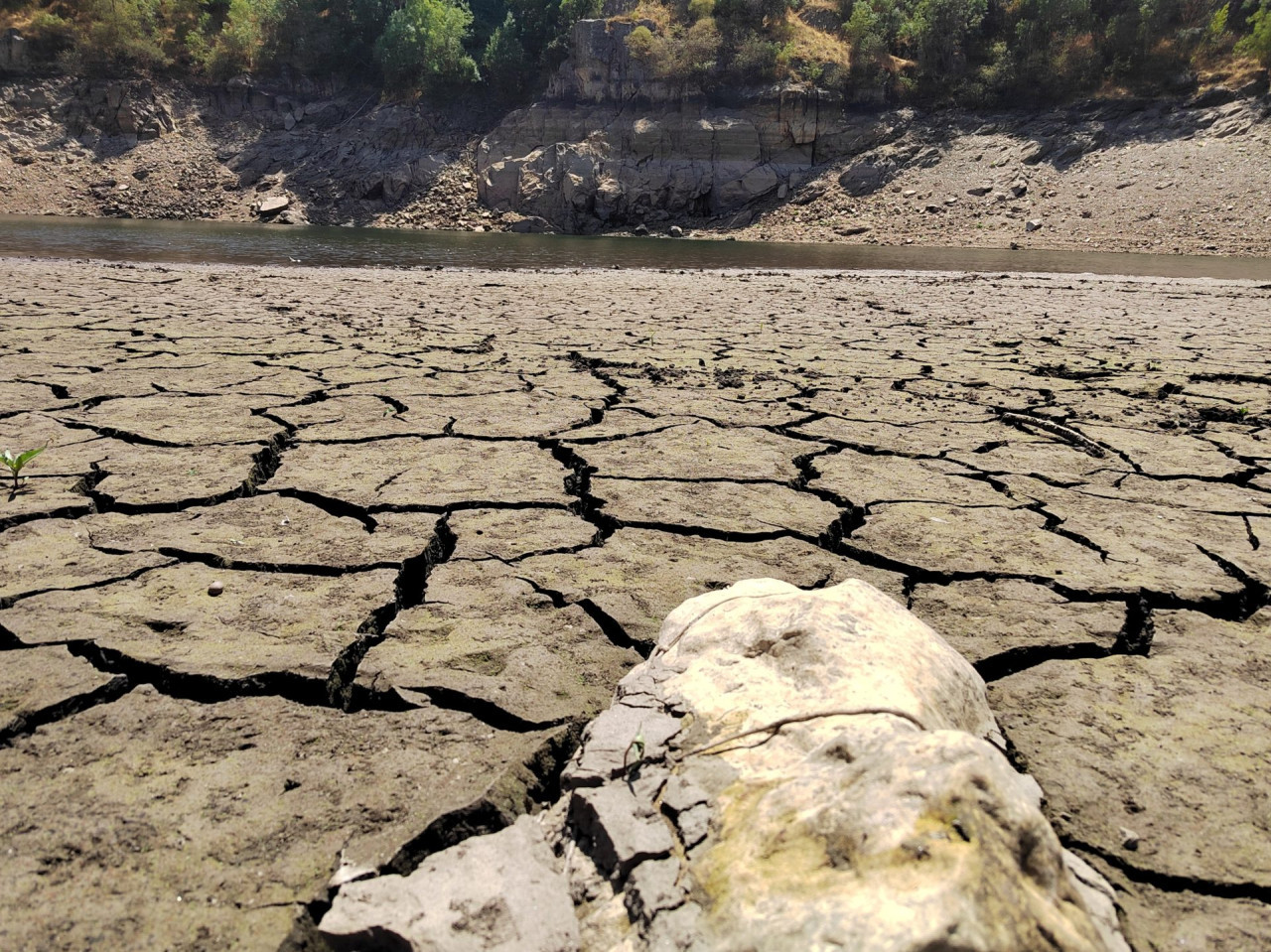 Cambio climático. Foto: EFE