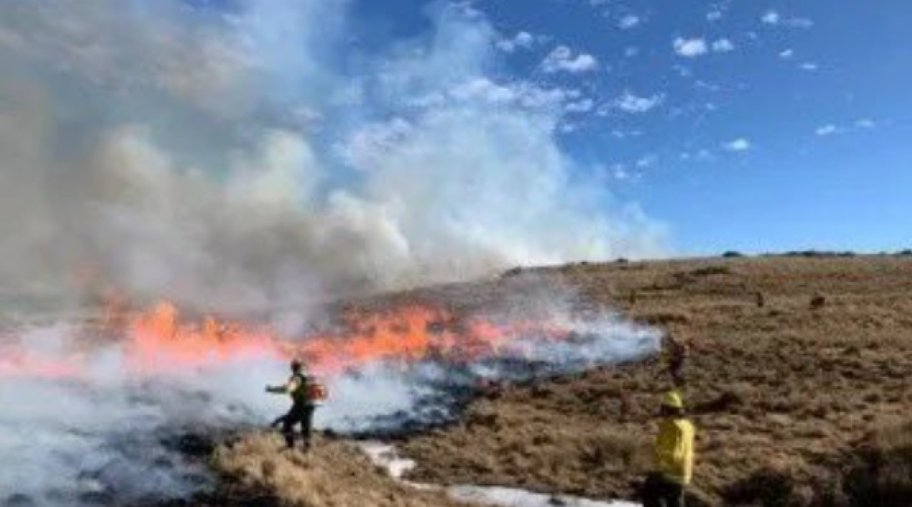 3.500 hectáreas afectadas por los incendios en Córdoba. Foto: X.