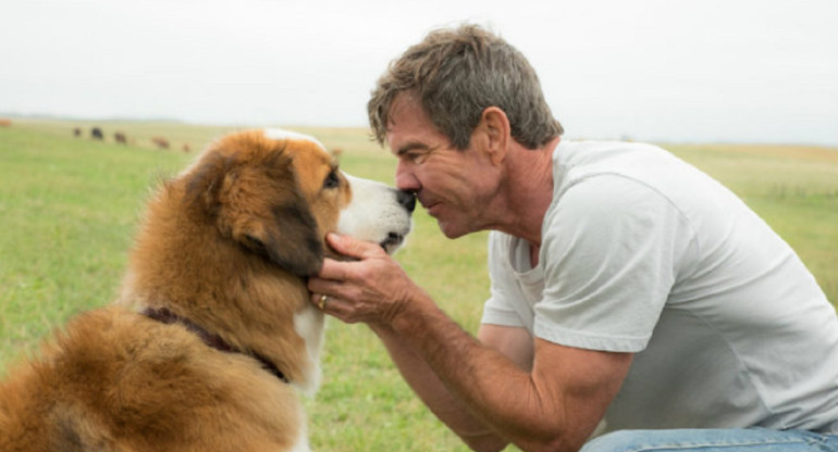 La razón de estar contigo. Foto: Netflix.