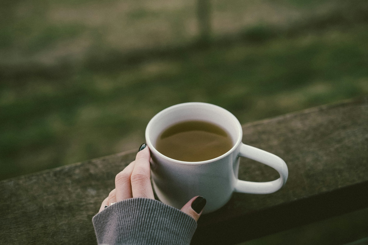 Té verde, hierba, infusión. Foto Unsplash.