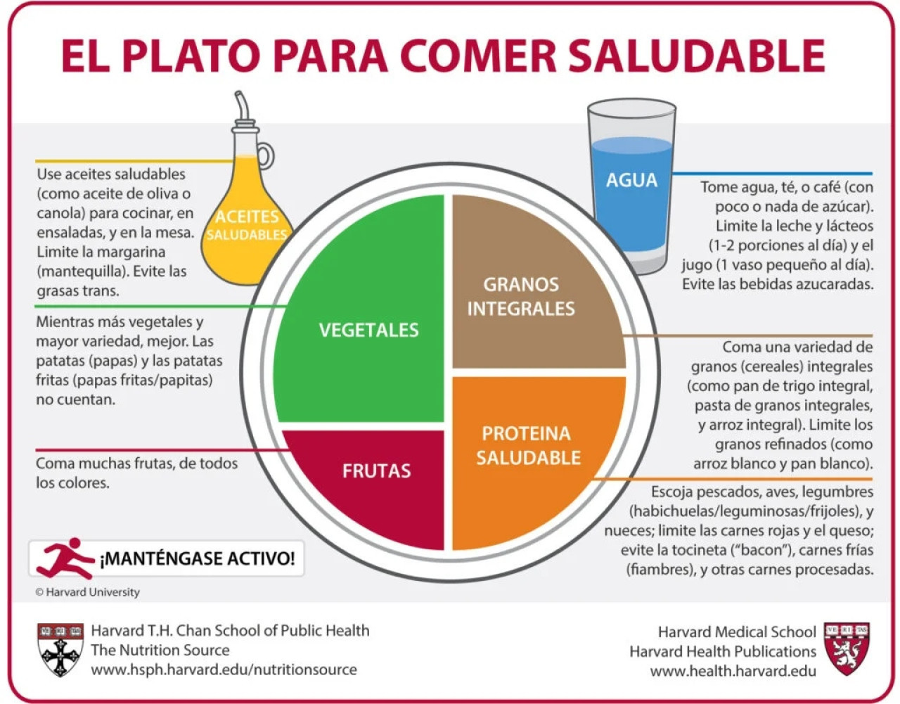 El plato saludable según Harvard. Fuente: Harvard.