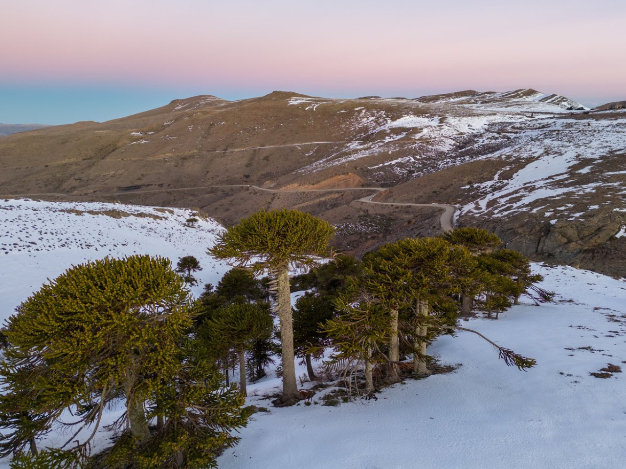 Aluminé, Neuquén. Foto X @neuquentur.