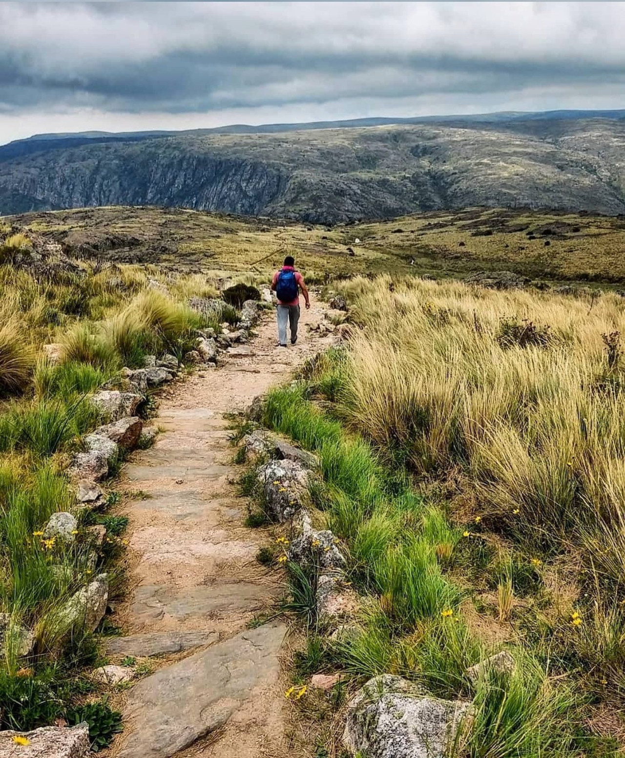 Parque Nacional Quebrada del Condorito. Foto X.